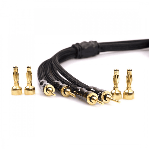 HiViLux Bi-Wiring OFC Lautsprecherkabel Bananenstecker