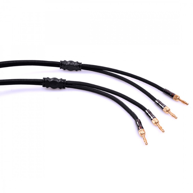 HiViLux Bi-Wiring OFC Lautsprecherkabel Bananenstecker